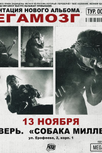 Мегамозг 13 ноября